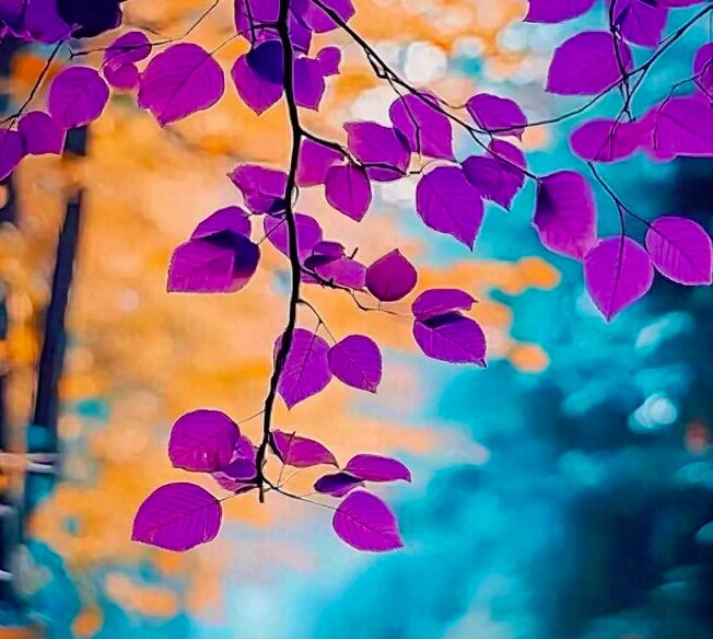 Đối phó với kẻ ác, không cần cãi vã, nhớ 3 điều này, bạn đã là người chiến thắng - 3