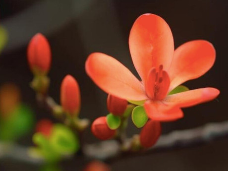 Những người không chịu nổi khi thấy bạn thành công không phải người ngoài mà là 4 kiểu người quen này