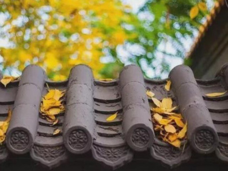 Để người khác không bao giờ dám bắt nạt bạn, chỉ cần nhớ kỹ 4 chữ này