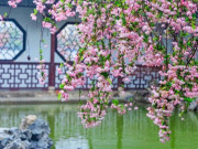 Eva tám - Giờ sinh Âm lịch của người dễ được lòng đồng nghiệp, sự nghiệp rộng mở