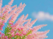 Eva tám - Cách tốt nhất để mang lại sự thịnh vượng cho gia đình gói gọn trong 2 từ