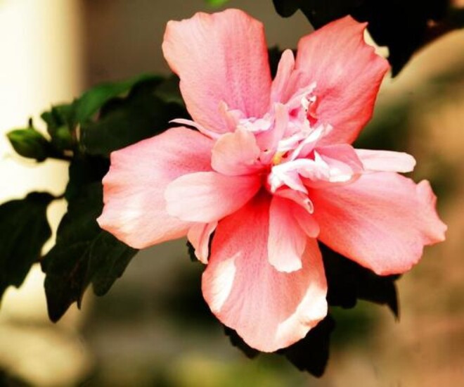 Muốn nhìn thấu một người nhanh nhất, người khôn ngoan luôn nhớ kỹ điều này - 1