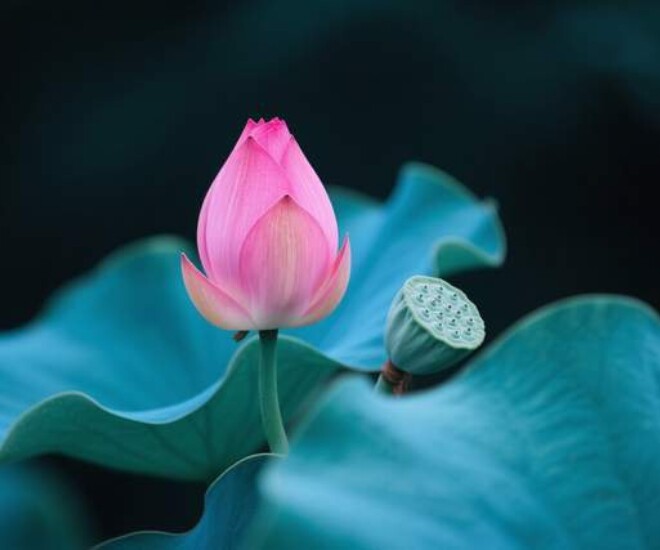 Người có 3 tướng này, không giàu có cũng sẽ hưng vượng - 1