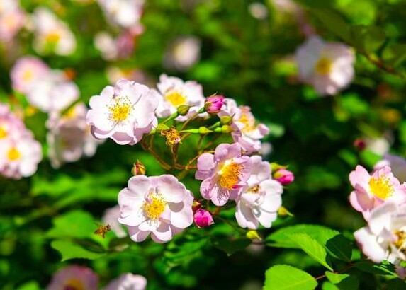Những người không chịu nổi khi thấy bạn thành công không phải người ngoài mà là 4 kiểu người quen này - 2