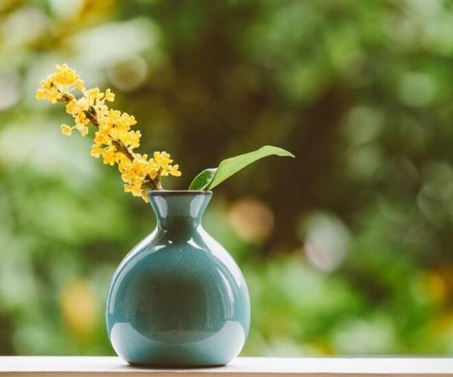 Phụ nữ thích tự làm 3 điều này cho chính mình không hề đơn giản, thực sự rất bản lĩnh - 1