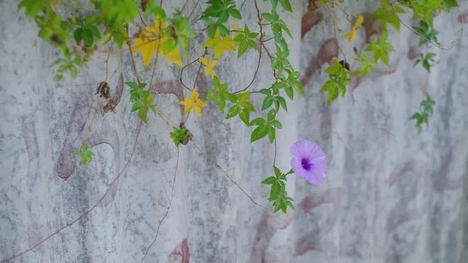 Người giàu có thực sự biết đỉnh cao nâng tầm giá trị bản thân gói gọn trong đúng 2 chữ - 2