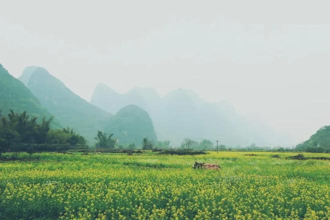 Người giàu có thực sự biết đỉnh cao nâng tầm giá trị bản thân gói gọn trong đúng 2 chữ - 3