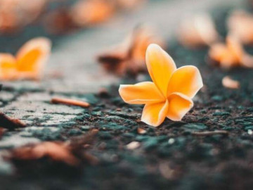 Người khôn ngoan biết 4 điều càng giữ miệng, gia đình càng êm ấm