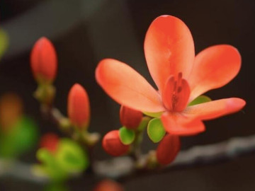 Eva tám - Những người không chịu nổi khi thấy bạn thành công không phải người ngoài mà là 4 kiểu người quen này