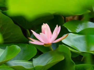Eva tám - Có 3 kiểu gia đình thực sự không thích hợp làm thông gia, ai cũng cần biết