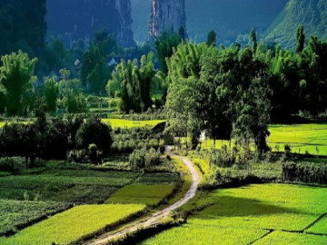 Ngày sinh Âm lịch của người có cuộc đời bình an