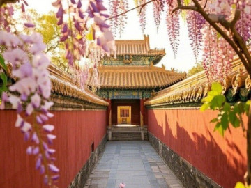 Tháng sinh Âm lịch của người có khí chất nổi bật, càng già càng giàu sang