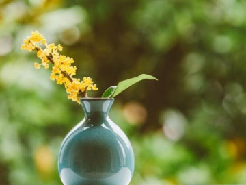 Phụ nữ thích tự làm 3 điều này cho chính mình không hề đơn giản, thực sự rất bản lĩnh