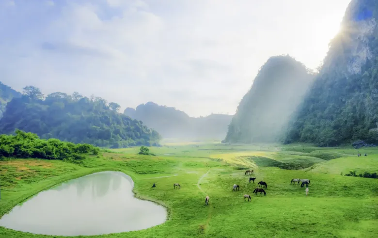 Khung Cảnh Tuyệt Mỹ Mà Thiên Nhiên Ban Tặng