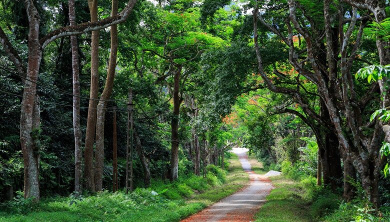 Cảm Nhận Thiên Nhiên Tươi Đẹp Với Bầu Không Khí Trong Lành