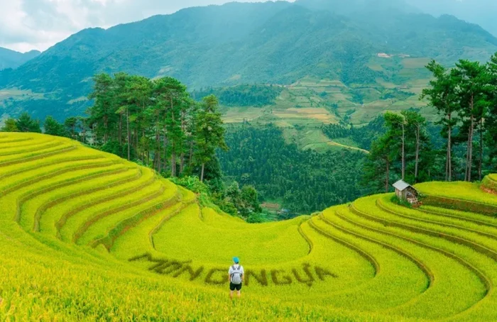 Check-in ngay tại Đồi Móng Ngựa