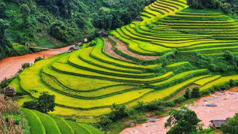 Đừng bỏ qua Đồi Mũi Giày độc đáo