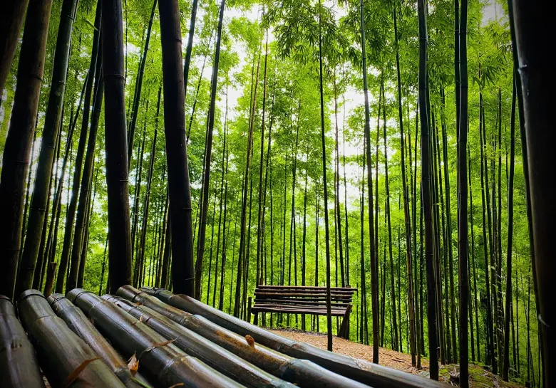 Không gian như trong phim kiếm hiệp