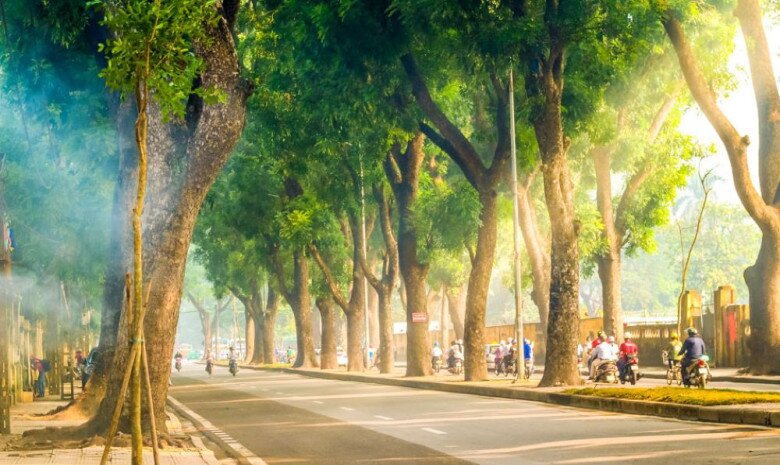 Con phố Hoàng Diệu thơ mộng