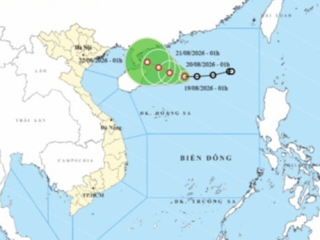Áp thấp nhiệt đới trên Biển Đông