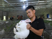 Tin tức - Chàng trai 9x và quyết định đi ngược số đông sau hơn 10 năm xa quê