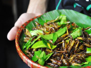 Lifestyle - 7 món đặc sản từ côn trùng, thoạt nhìn “nổi da gà” nhưng càng ăn càng cuốn, biết cách chế biến mới ngon