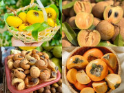 Lifestyle - 5 loại quả “ôm trọn” hương vị mùa thu Hà Nội, thơm ngon giá rẻ, là đặc sản nức tiếng để mua về làm quà
