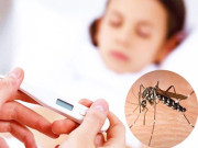 Sức khỏe - Sốt xuất huyết nguy cơ bùng phát ở TP.HCM, nhiều trẻ diễn tiến nặng