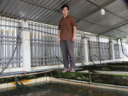 Tin tức - Bỏ việc lương hơn 20 triệu, chàng trai về quê "giải cứu" đàn lươn của gia đình