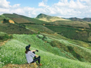 Lifestyle - 7 điểm đến đẹp nổi tiếng ở Sơn La, thách thức tín đồ trekking, có nơi vẫn chưa được nhiều du khách biết tới