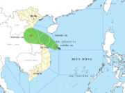 Tin tức - Áp thấp nhiệt đới hướng vào vùng biển Đà Nẵng, 15 tỉnh thành ứng phó