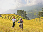 Lifestyle - Mù Cang Chải mùa lúa chín đẹp như tranh