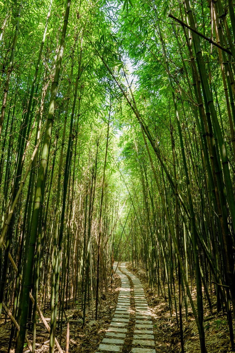 Khám phá thiên nhiên vô tận