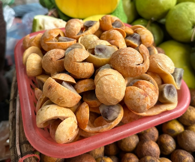 Sấu chín vàng thơm ngon của mùa thu Hà Nội