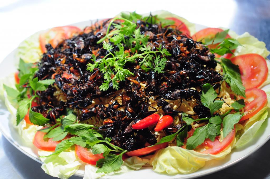 Món ngon từ dế