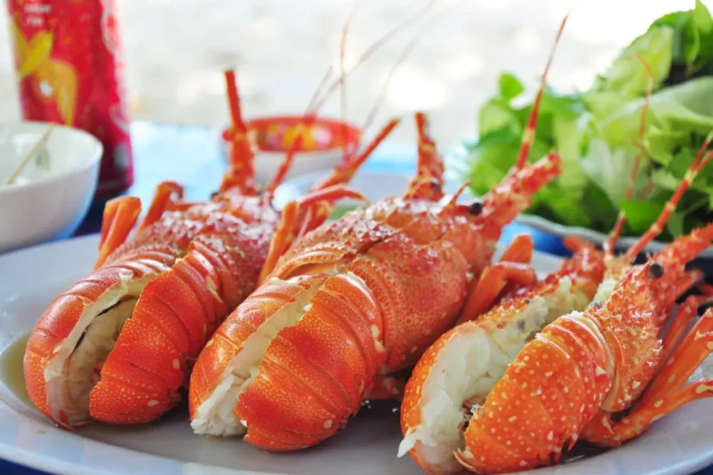 Tôm hùm chất lượng cao với giá đắt đỏ