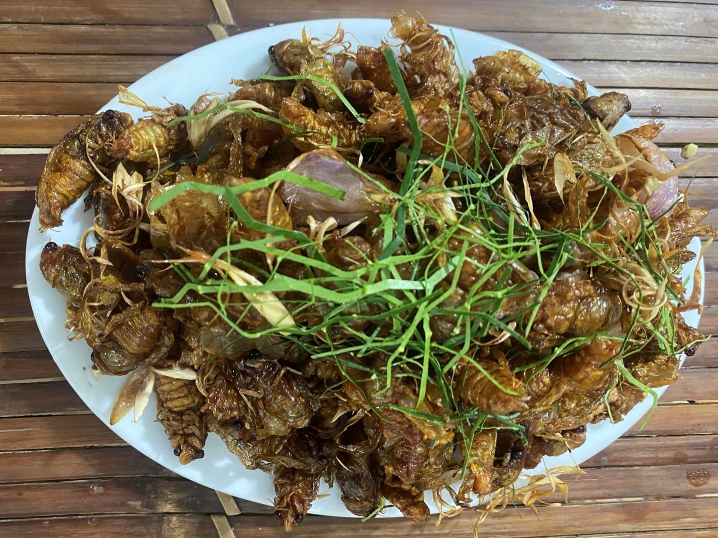 Ve sầu nấu được nhiều món ngon