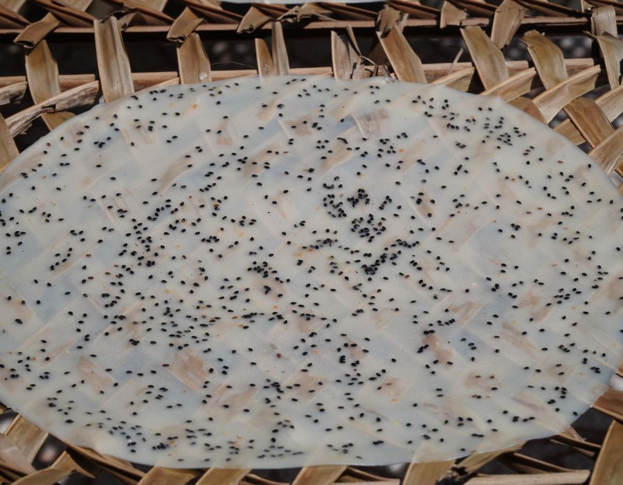 Bánh tráng nem ở Vĩnh Long rất khác biệt