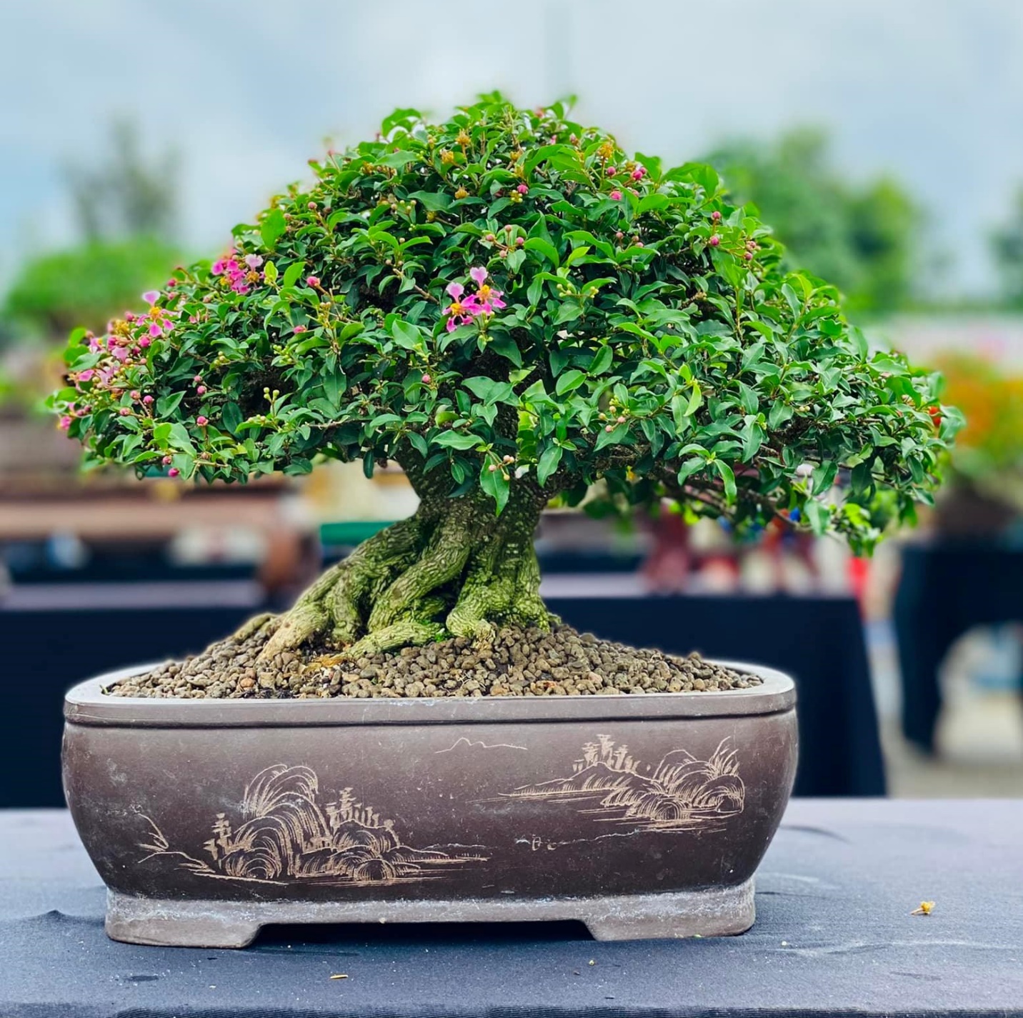 Mỗi tác phẩm có giá bán khác nhau, tùy theo độ tuổi và dáng thế