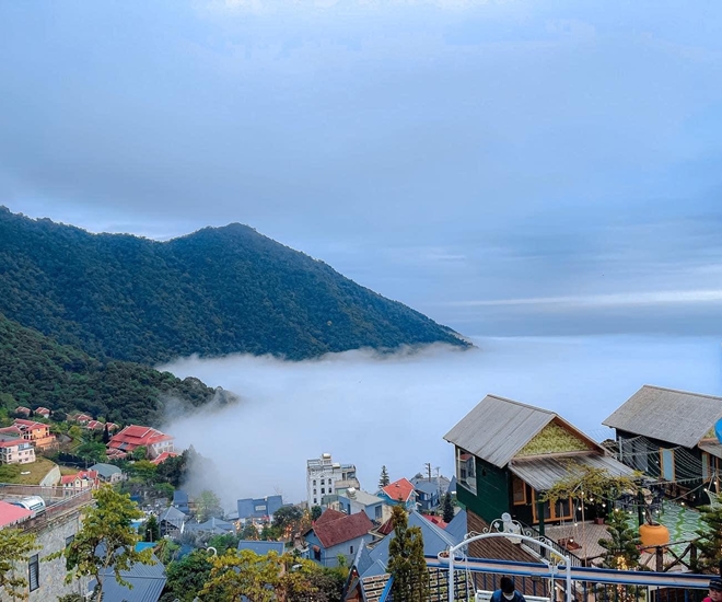 Tam Đảo bồng bềnh trong biển mây