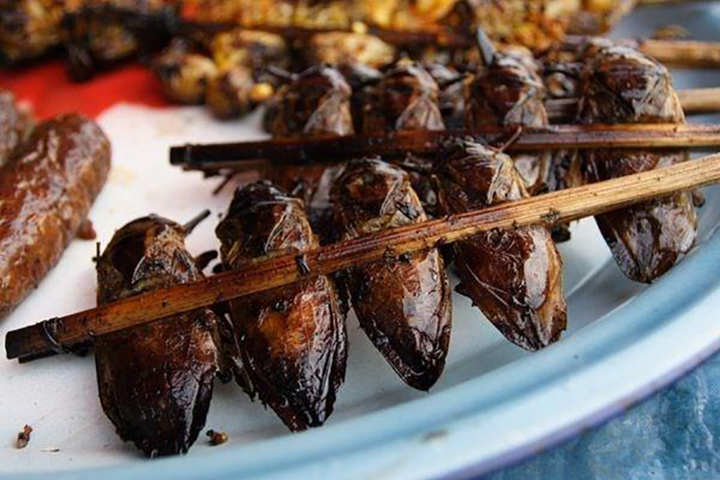 Con cà niễng chế biến thành món ngon
