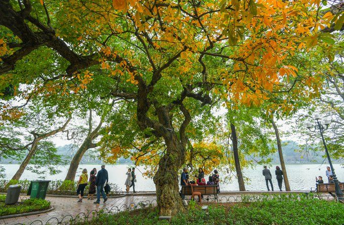 Quang cảnh đường Thanh Niên rợp bóng mát