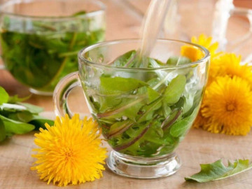 Bất ngờ: Loại rau dại mọc khắp Việt Nam được nghiên cứu có khả năng khiến hơn 95% tế bào ung thư tự hủy trong phòng thí nghiệm