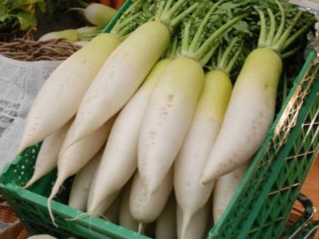 Sức khỏe - Đây mới là loại rau xanh giàu vitamin ăn cực tốt nên bổ sung hàng ngày