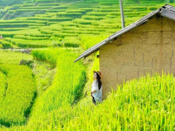 7 trải nghiệm không nên bỏ lỡ ở Y Tý mùa lúa chín