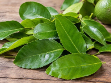 Lá chanh có tác dụng gì?