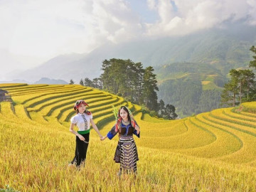 Mù Cang Chải Mùa Lúa Chín Đẹp Như Tranh