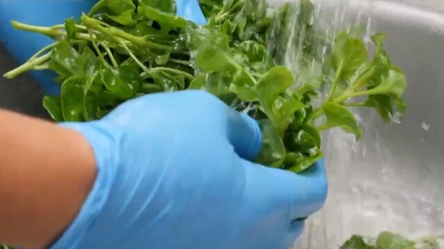 Loại rau chỉ khoảng 25.000-35.000 đồng/kg, ‘khắc tinh của bệnh K’, xưa chỉ mùa đông mới có, nay mùa hè cũng dễ kiếm
