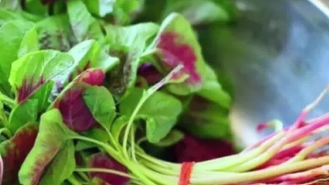 Người đàn ông 52 tuổi suy thận cấp, suýt mất mạng vì ăn rau dền theo cách này