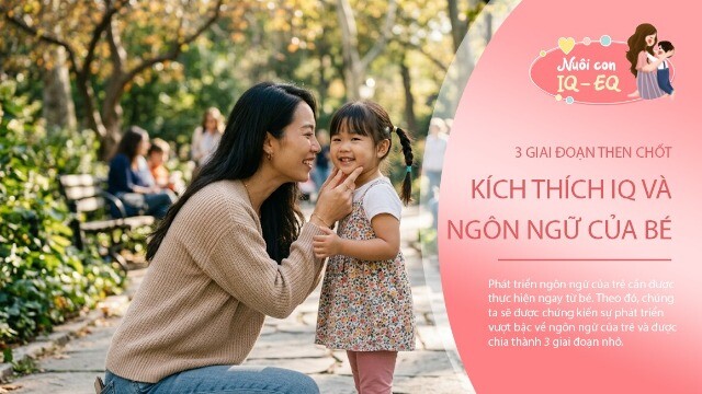 Đừng bỏ qua 3 giai đoạn then chốt trong những năm đầu đời, bởi đây là lúc não bộ và ngôn ngữ của bé phát triển mạnh